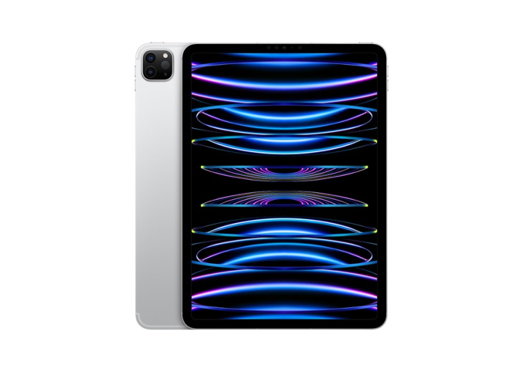 iPad Pro 11" M2 256GB Wi-Fi + Cellular